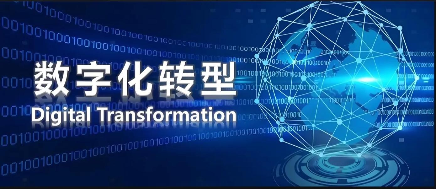 图片5